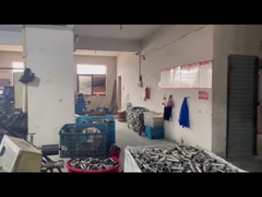 Zhejiang, Cina pressfitting